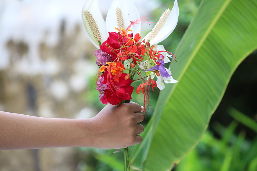 Hand holding colorful tropical flower bouquet outdoors