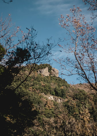 Rocky Mountain Peak Through Bare Tree Branches
