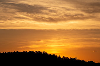 Golden sunset sky with dramatic clouds over dark forest silhouette