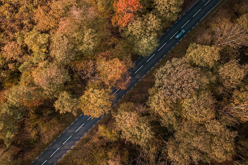 Aerial View of Car Driving on Road Through Autumn Forest