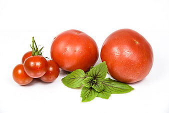 Fresh Red Tomatoes and Basil Leaves on White Background