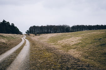 Winding gravel road through grassy field with forest background