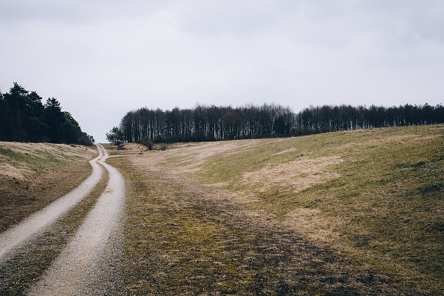 Winding gravel road through grassy field with forest background