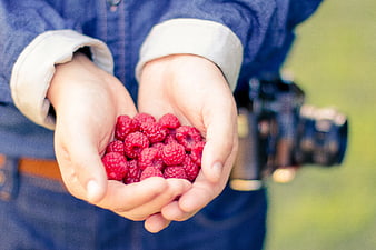 Hands holding fresh raspberries with camera in background