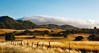 Golden California Hills with Fog and Wooden Fence