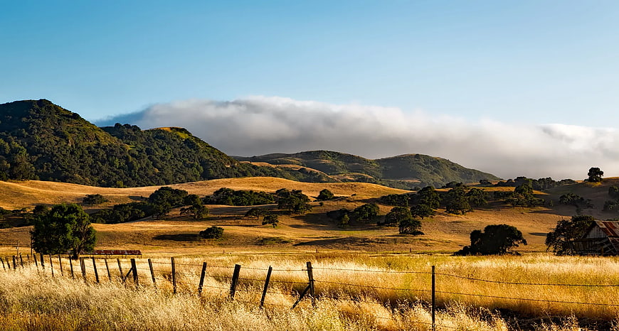 Golden California Hills with Fog and Wooden Fence