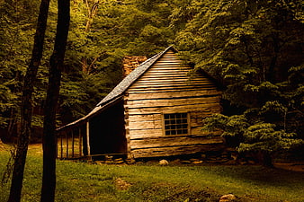 Rustic Log Cabin in Lush Green Forest