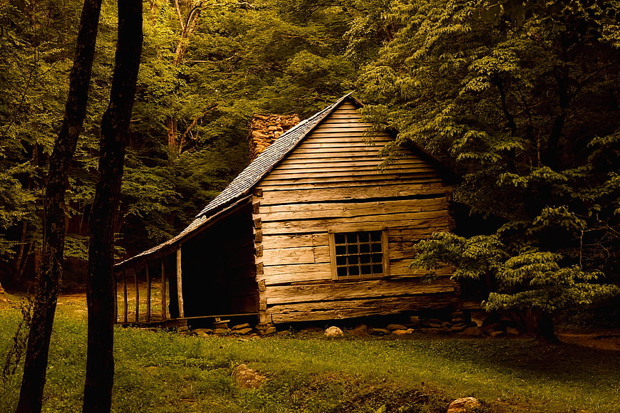 Rustic Log Cabin in Lush Green Forest