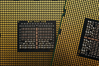 Macro Close-Up of Gold CPU Processor Pins and Contacts