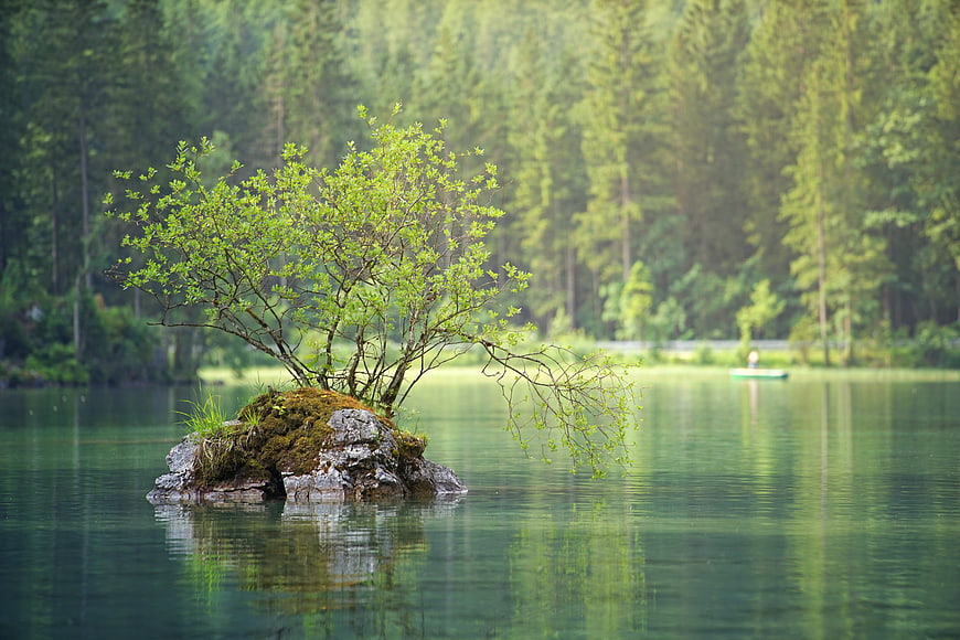 Lone Tree on Rocky Island in Serene Green Lake