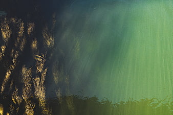 Aerial View of Green Water and Dark Tree Reflections