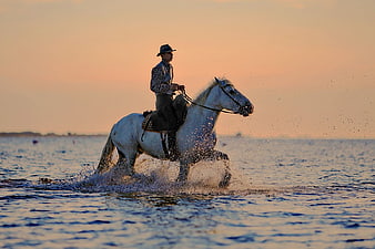 Man Riding White Horse in Ocean at Sunset