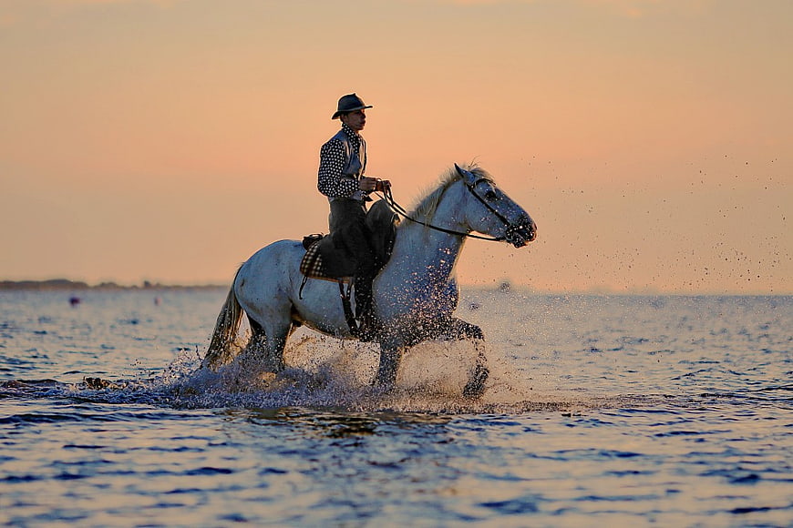 Man Riding White Horse in Ocean at Sunset