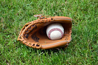 Baseball glove with ball on green grass field