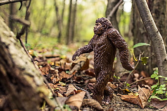 Bigfoot Statue in Forest with Fallen Leaves