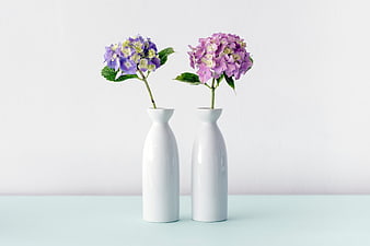 Two white ceramic vases with purple hydrangeas on pastel background