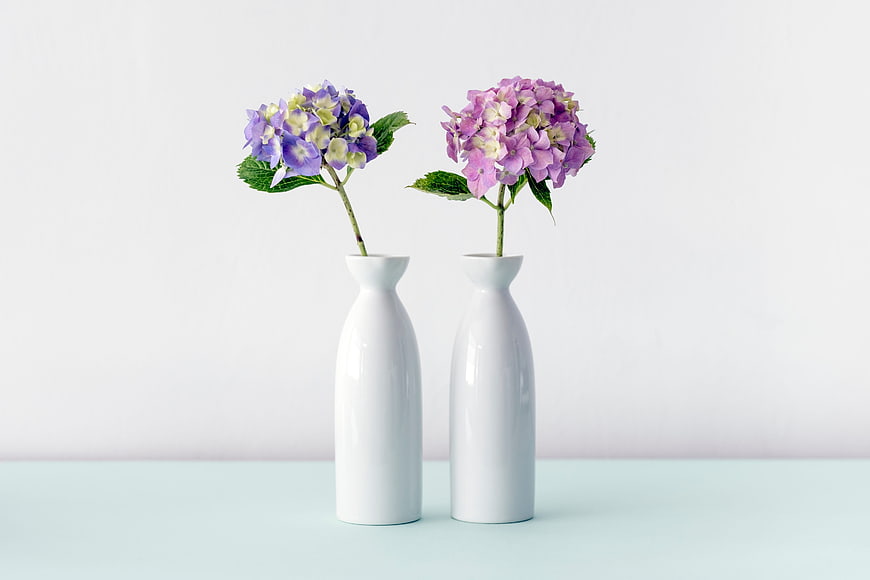 Two white ceramic vases with purple hydrangeas on pastel background