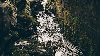 Mossy Rocks and Flowing Stream in Forest