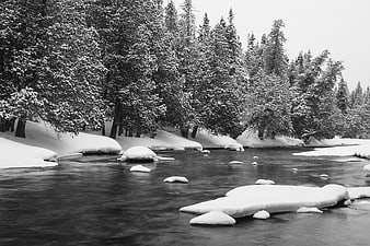 Serene Black and White Winter River Flowing Through Snowy Forest
