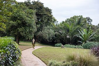 Woman Walking Away on Path in Lush Tropical Garden