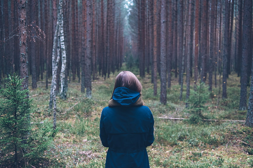 Woman in Blue Coat Standing in Pine Forest