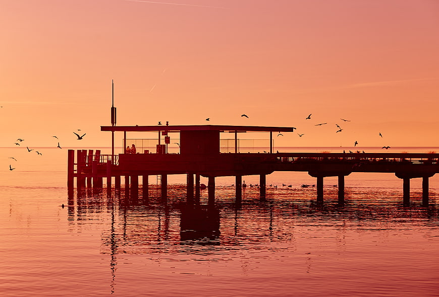 Silhouetted pier at sunset with flying birds over calm ocean