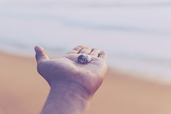 Hand holding colorful seashell on blurred beach background