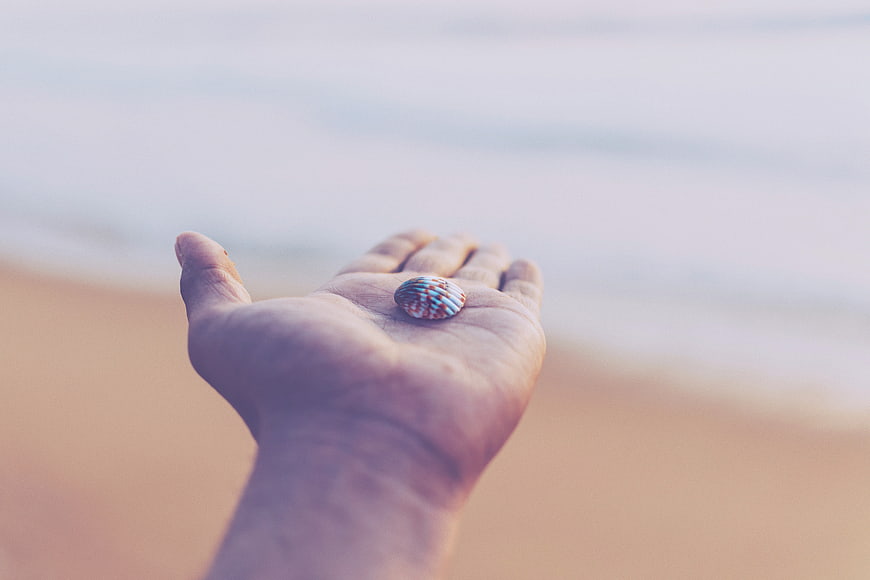 Hand holding colorful seashell on blurred beach background
