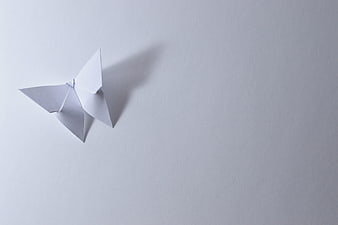 White Origami Butterfly on Light Gray Background