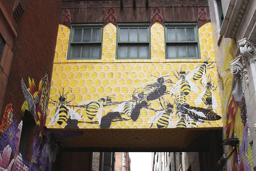 Yellow Honeycomb Bee Mural on Urban Building Facade