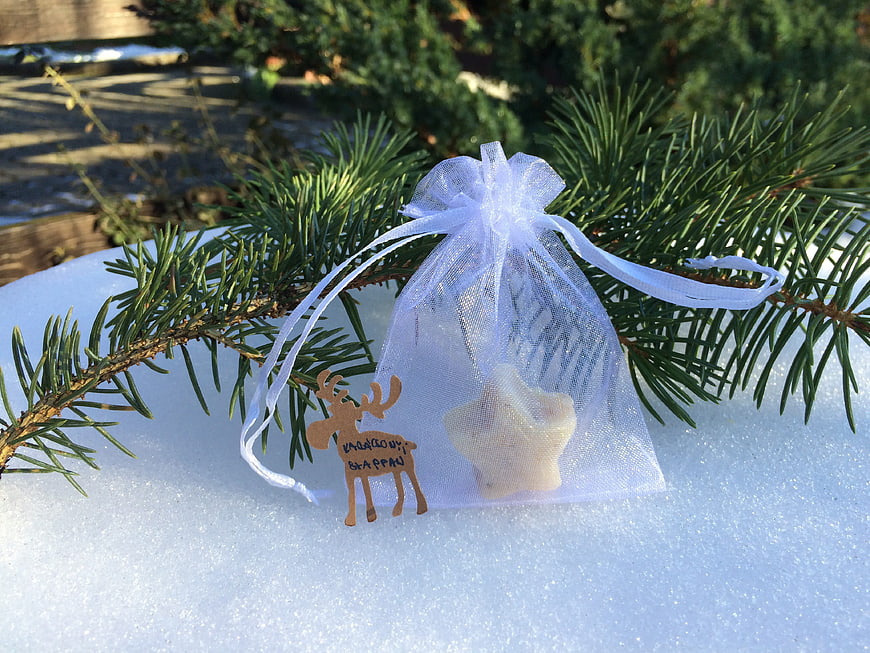 Christmas gift bag with reindeer tag on snowy pine branch