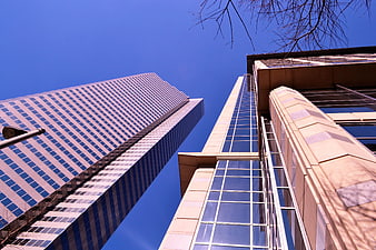 Low angle view of modern glass skyscrapers against a clear blue sky