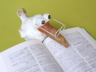 White Duck Figurine with Glasses Reading a Dictionary