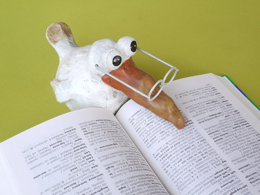 White Duck Figurine with Glasses Reading a Dictionary
