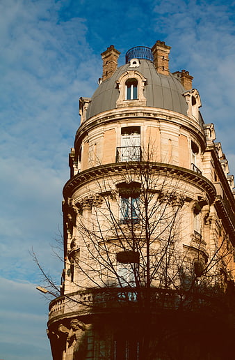 Low angle view of ornate Parisian building corner