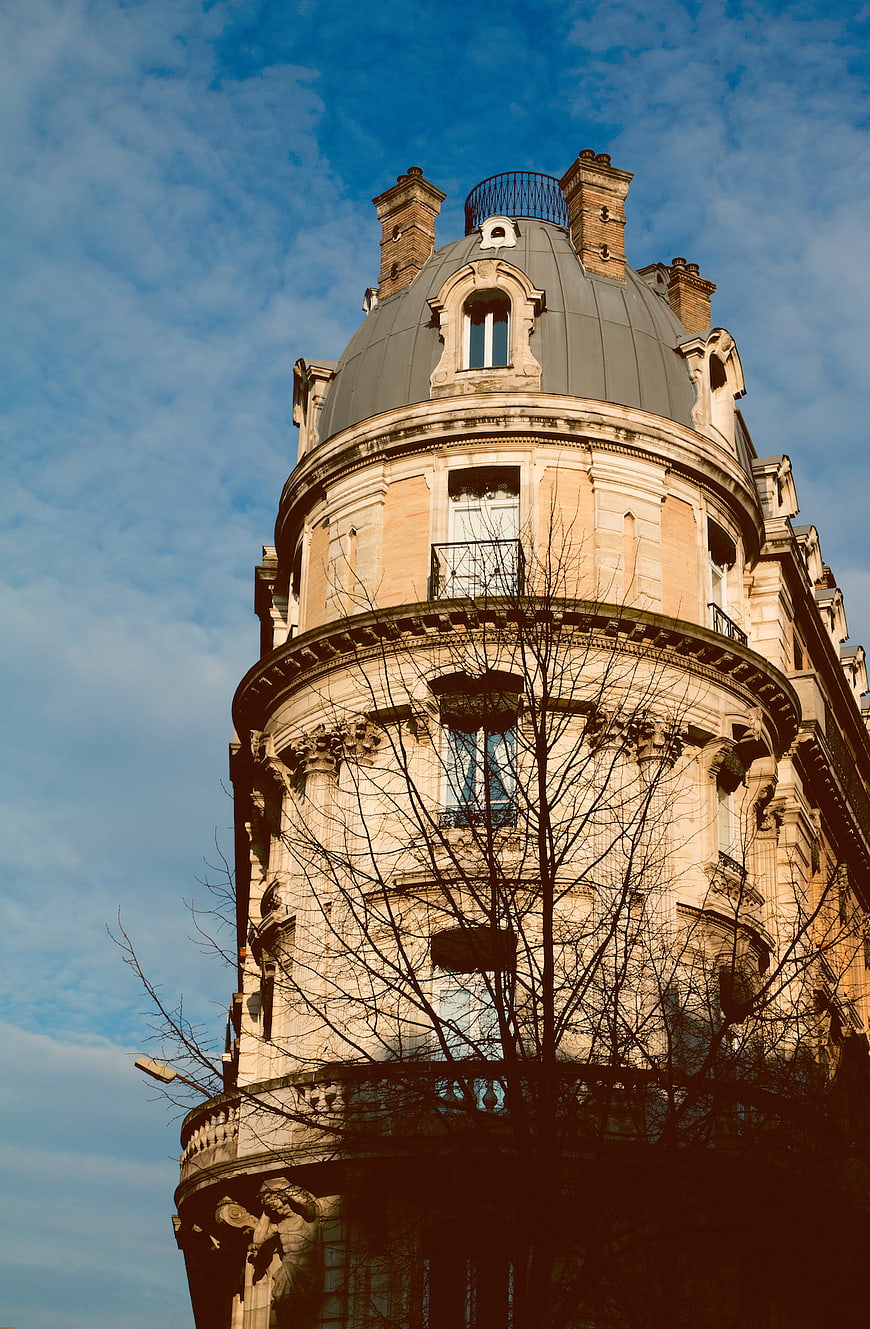 Low angle view of ornate Parisian building corner