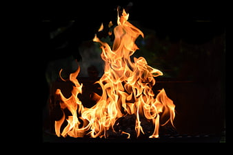 Vibrant Orange Flames Burning on Charcoal Against Black Background