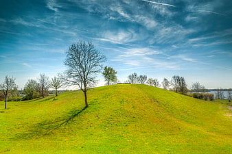 Lush green hill with bare tree under blue sky