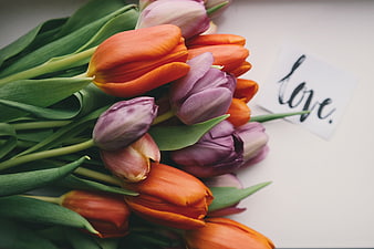 Colorful Tulip Bouquet with Love Note on White Background