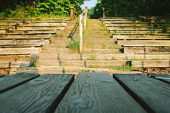 Weathered wooden amphitheater steps in a sunlit forest