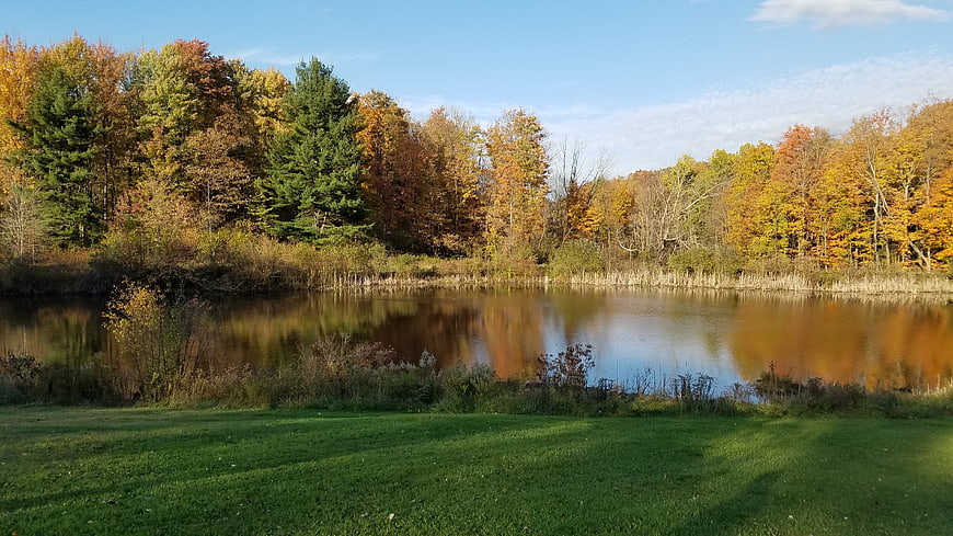 Serene autumn pond with colorful fall foliage reflection