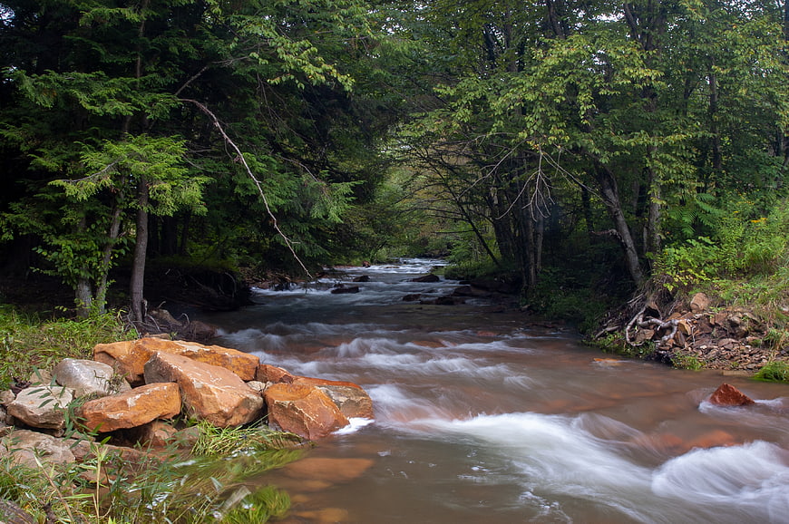 Flowing forest river with smooth water and rocks