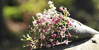 Pink and White Lychnis Flowers in Woven Cone
