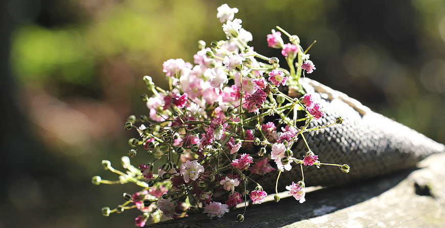 Pink and White Lychnis Flowers in Woven Cone