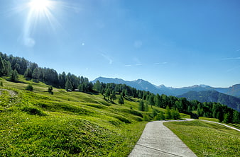 Sunny Mountain Path Through Green Alpine Meadow