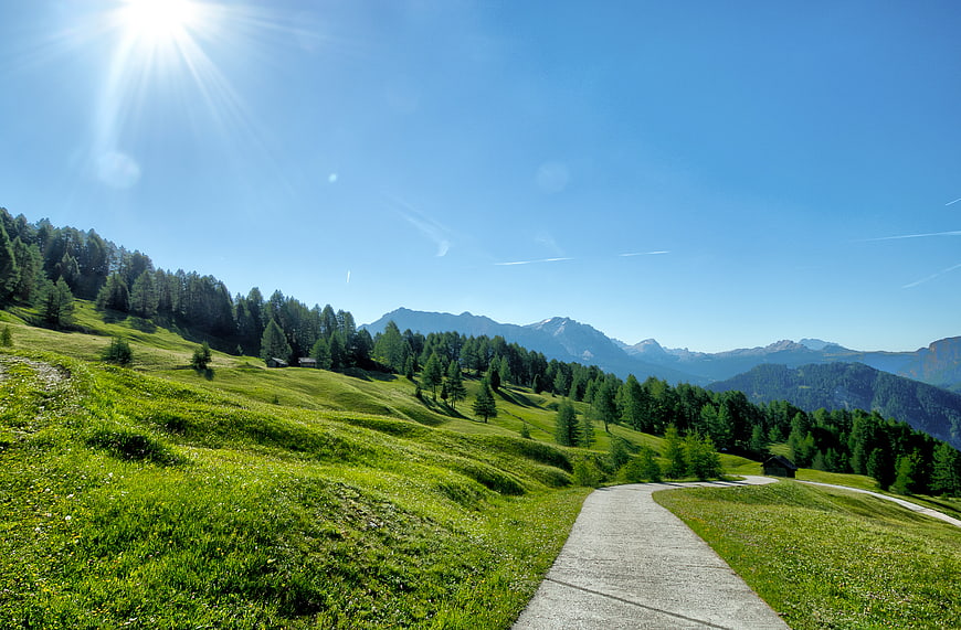 Sunny Mountain Path Through Green Alpine Meadow