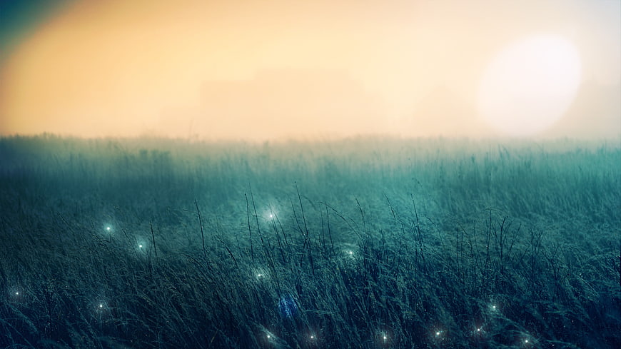 Misty Grass Field With Fireflies And Warm Sunset Sky