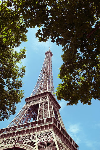 Low angle view of Eiffel Tower framed by green leaves