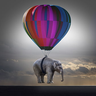 Fantasy Elephant Flying with Colorful Hot Air Balloon