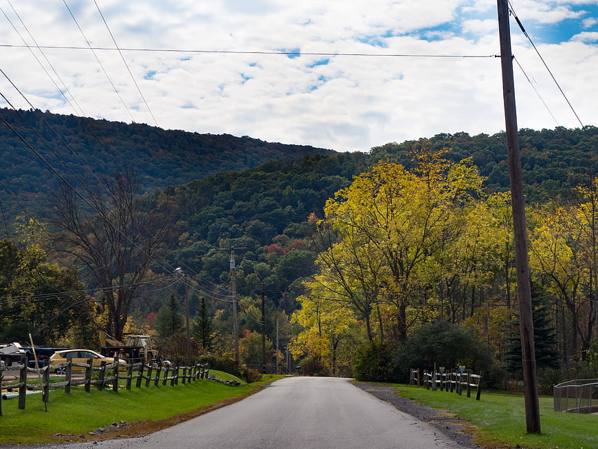 Rural Country Road with Autumn Foliage and Blue Sky